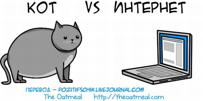 Кот vs. Интернет (21 картинка)