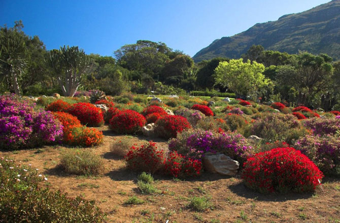 Самые красивые сады в мире (15 Фото)
