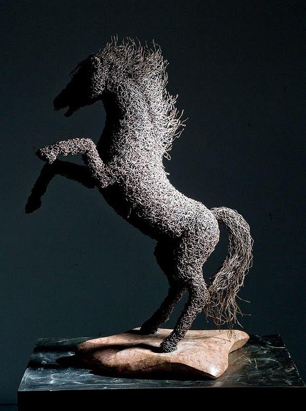 Отличные скульптуры из проволоки от Маттиа Тротта (15 Фото)