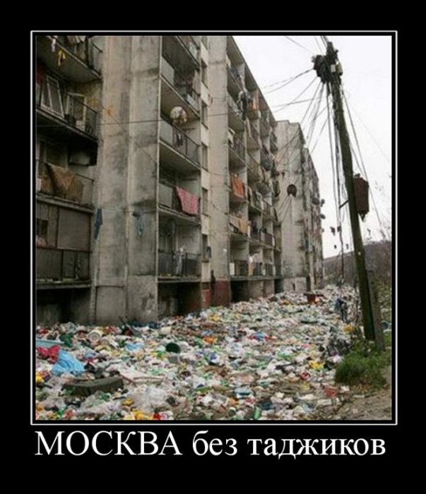 http://trinixy.ru/pics4/20110627/demotivatory_21.jpg