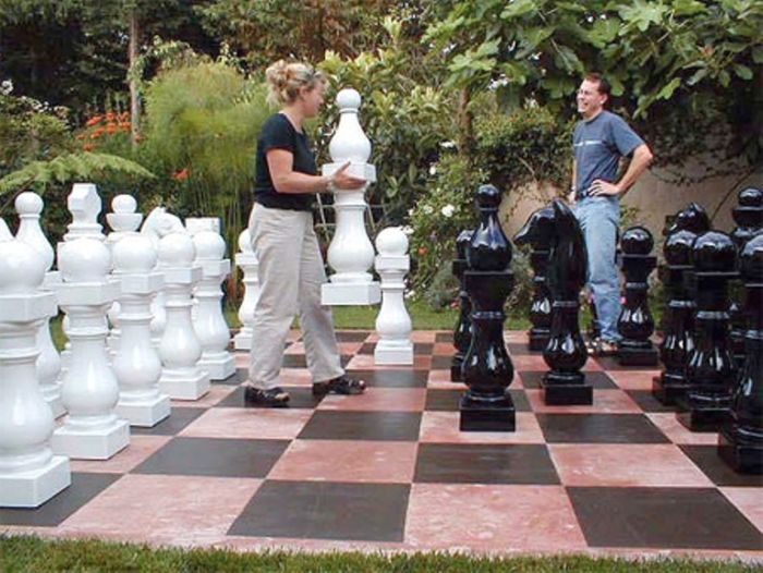 Креативные и прикольные виды шахмат (15 Фото)