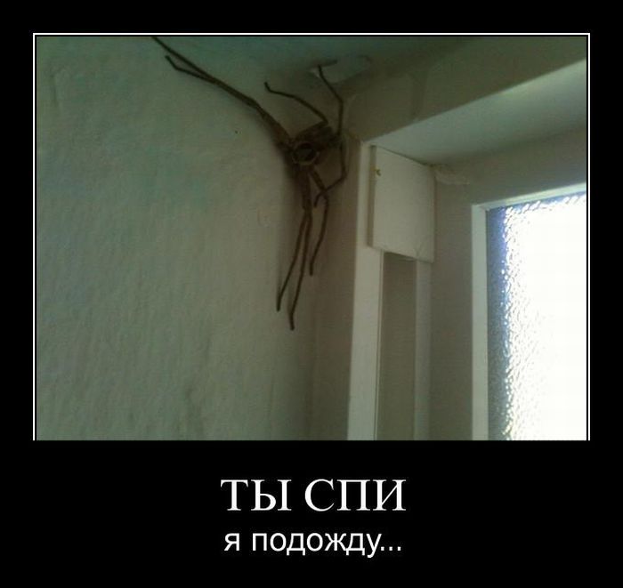 http://trinixy.ru/pics4/20110729/demotivatory_11.jpg