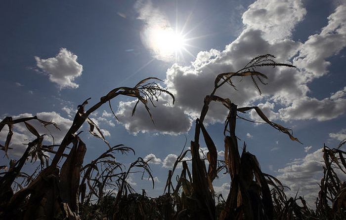 Небывалая страшная засуха в Техасе (11 Фото)