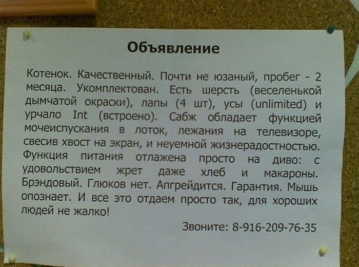 http://trinixy.ru/pics4/20110810/podborka_67.jpg