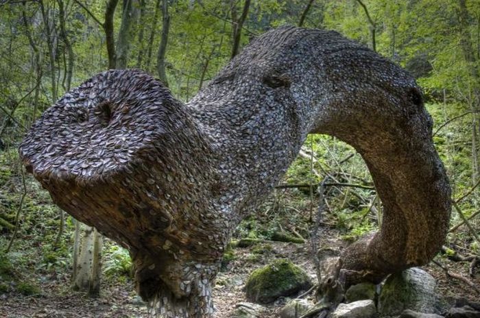 Денежное дерево в Великобритании (12 фото)