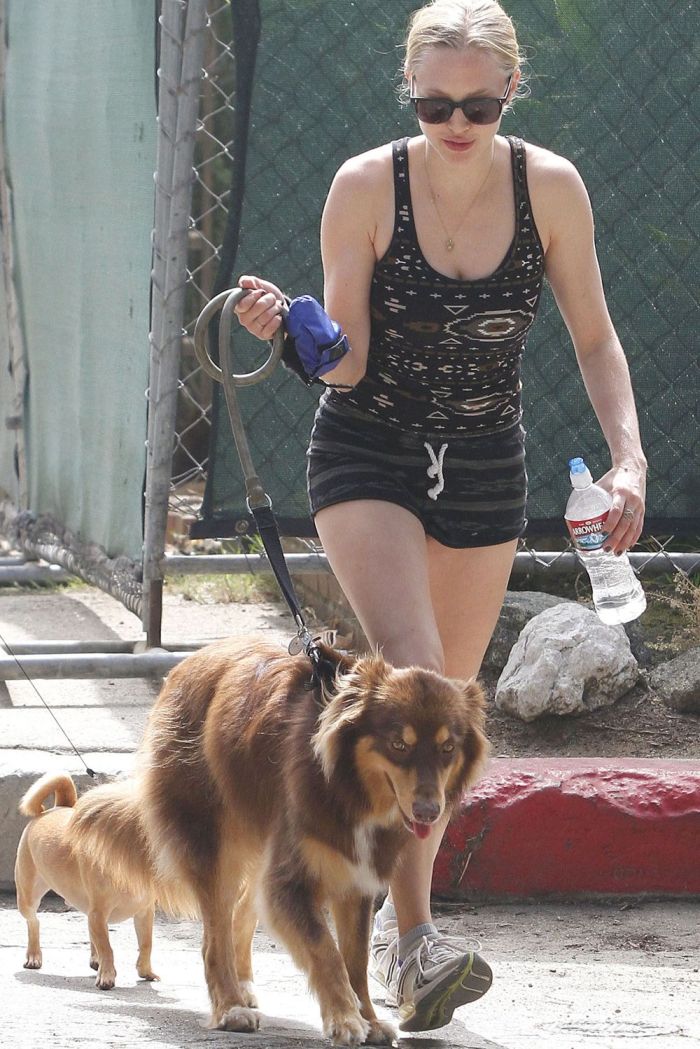 Аманда Сэйфрид выгуливает собаку (9 Фото)
