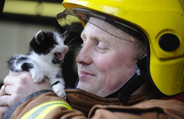http://trinixy.ru/pics4/20111028/heartwarming_photos_of_animals_being_rescued_21.jpg