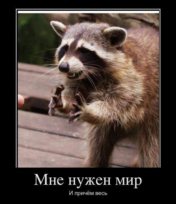 http://trinixy.ru/pics4/20111031/demotivatory_19.jpg
