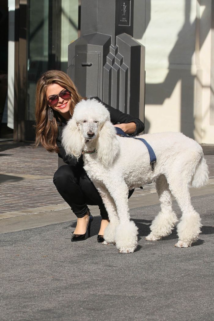 Мария Меноунос прогуливается с собакой (9 Фото)