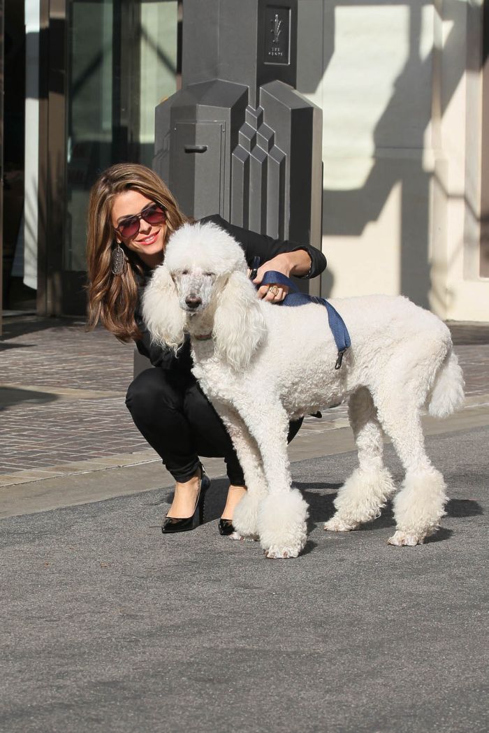 Мария Меноунос прогуливается с собакой (9 Фото)