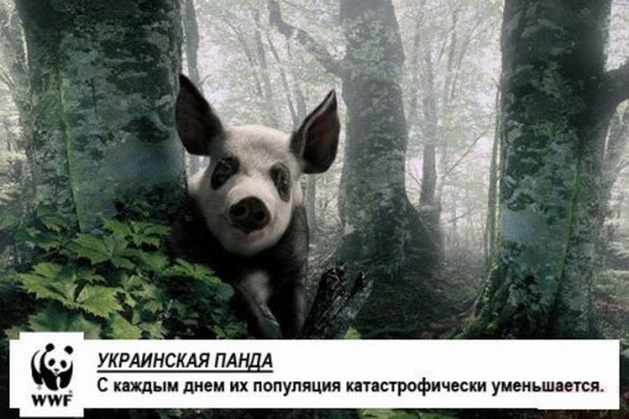 http://trinixy.ru/pics5/20120113/podborka_07.jpg