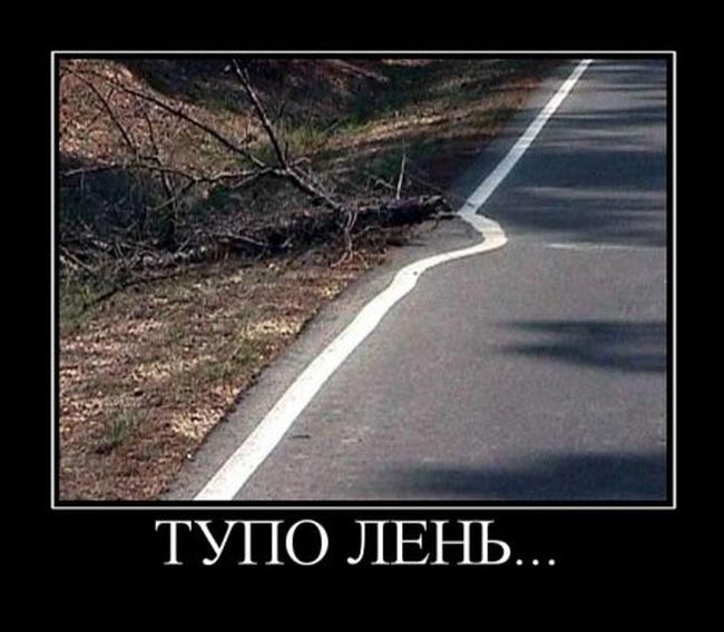 http://trinixy.ru/pics5/20120222/demotivatory_19.jpg