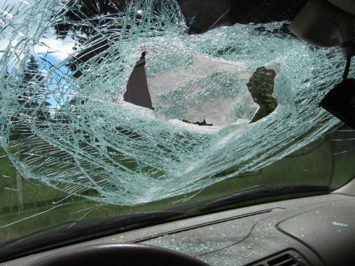 Несчастный случай на дороге (10 фото)