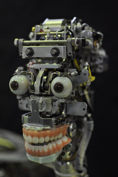 Певица-робот (15 фото + видео)