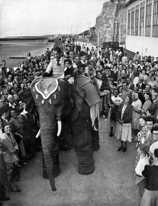 Уникальный робот-слон 50х годов (8 фото)