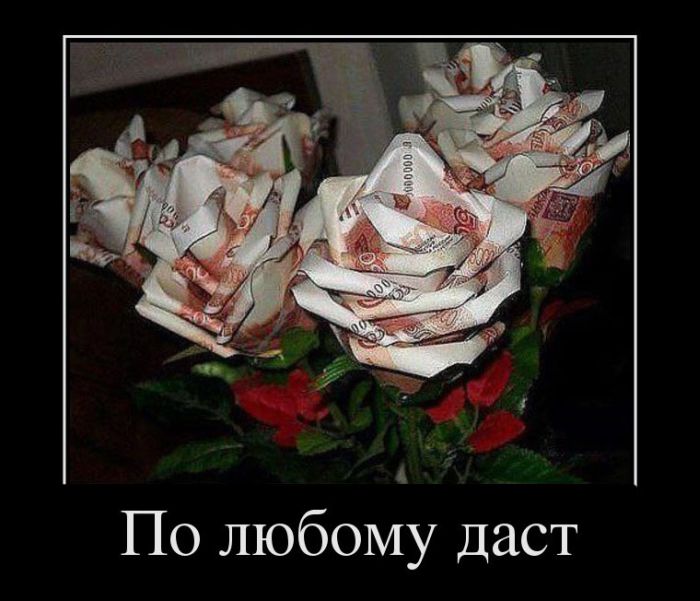 http://trinixy.ru/pics5/20130326/demotivatory_12.jpg