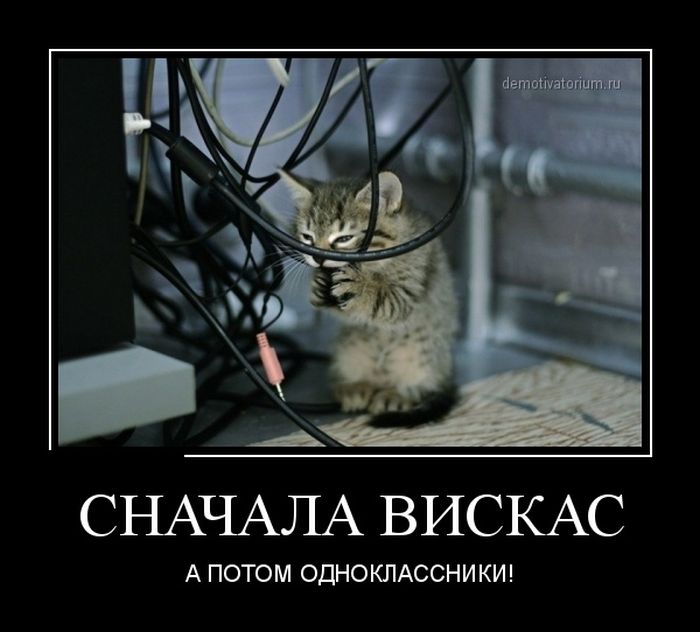 http://trinixy.ru/pics5/20130809/demotivatory_10.jpg