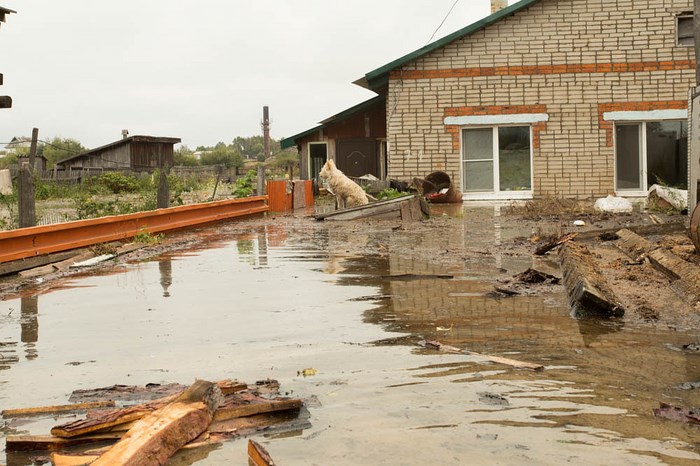Борьба МЧС с наводнением на Амуре - фото 6