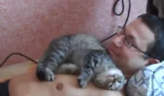 Позитив дня: котейка обожает своего хозяина