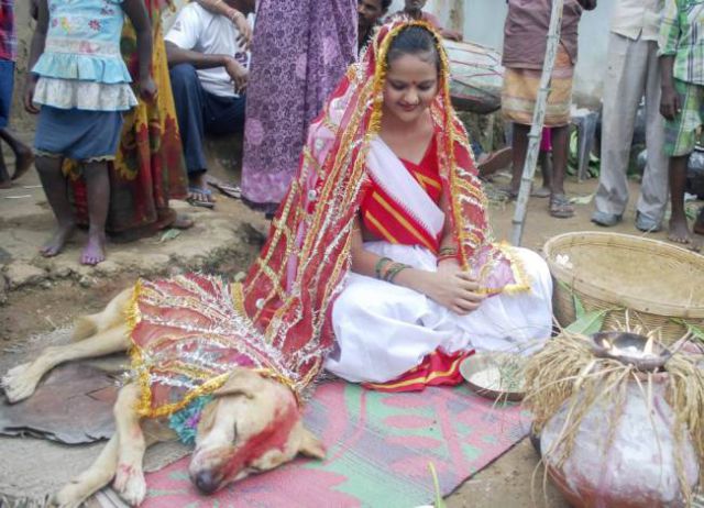 Шокирующая свадьба по-индийски (13 фото) Oddest_wedding_in_the_world_13