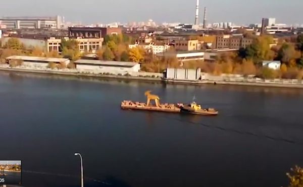 Козел плывет по Москва-реке