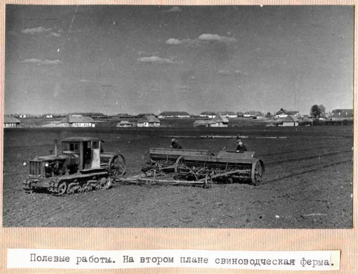 Совхоз имени Калинина, 30-е годы  (30 фото)