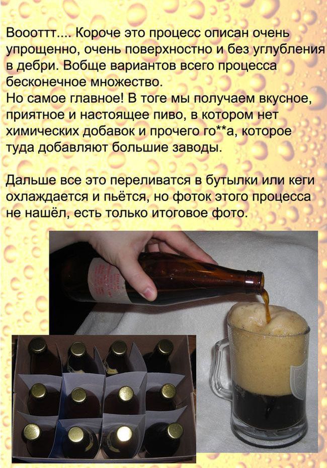 Рецепт настоящего пива (13 фото)