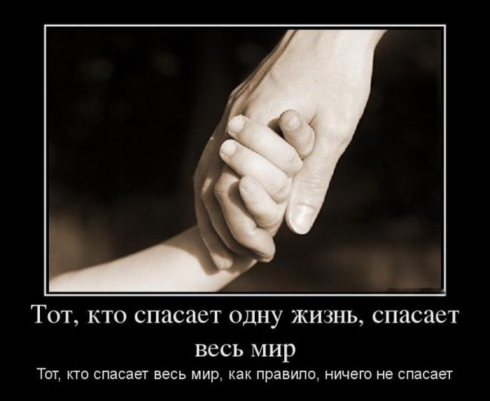http://trinixy.ru/pics5/20150619/demotivatory_04.jpg