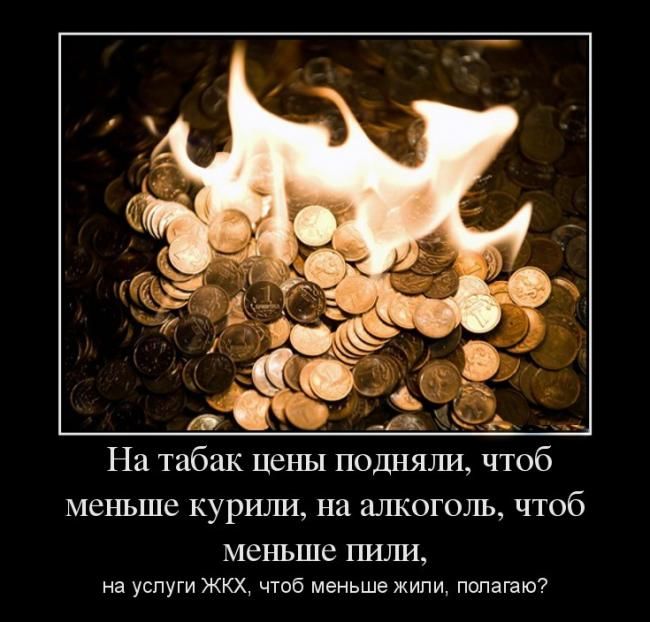 http://trinixy.ru/pics5/20150619/demotivatory_18.jpg