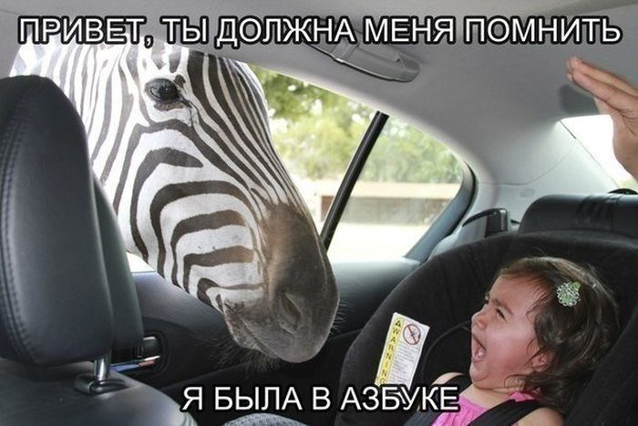 http://trinixy.ru/pics5/20150717/podborka_77.jpg
