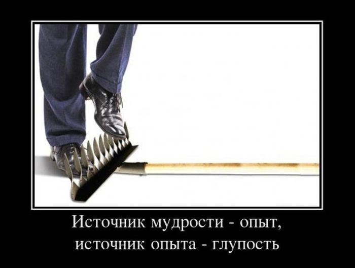 http://trinixy.ru/pics5/20150807/demotivatory_17.jpg