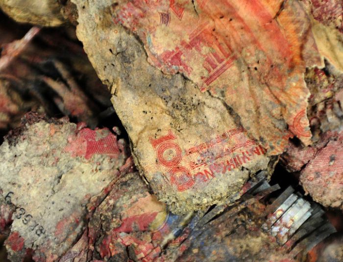 Спрятанные китайской семьей 16 000 долларов сгнили в земле в течение 4-х лет (3 фото)