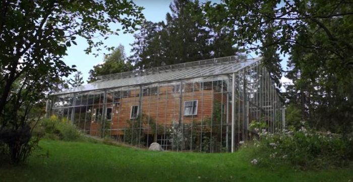 Шведская пара построила большую теплицу поверх дома (7 фото)