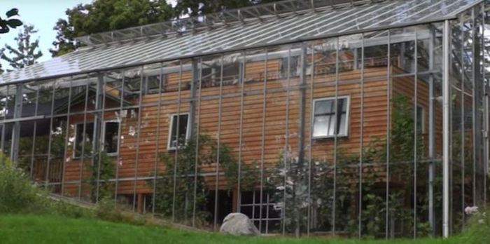 Шведская пара построила большую теплицу поверх дома (7 фото)