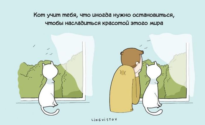 Преимущества жизни с котом в веселых комиксах (22 картинки)
