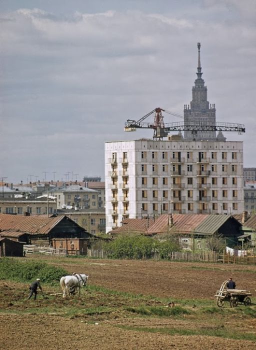 Деревенская Москва 50-х - 60-х годов XX века (36 фото)