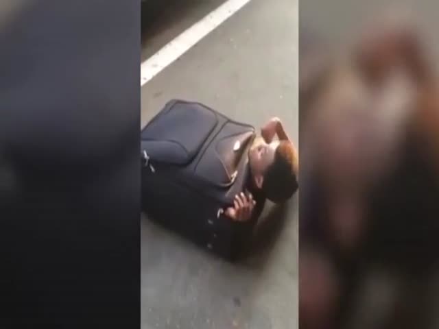 Африканский нелегал приехал в Швейцарию в чемодане