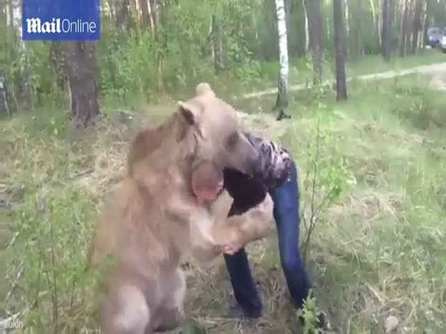 Борьба русского парня с медведем шокировала иностранцев