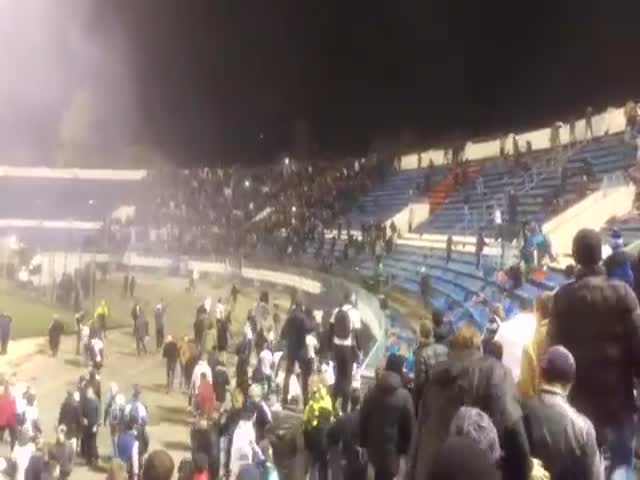 Беспорядки фанатов на матче «Факел» - «Динамо»