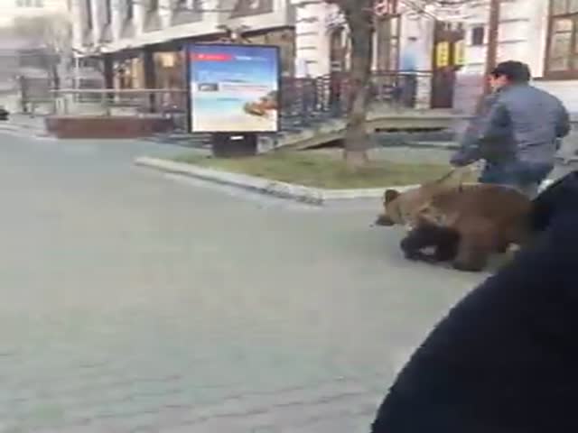 Мужчина выгулял медведя в центре Хабаровска