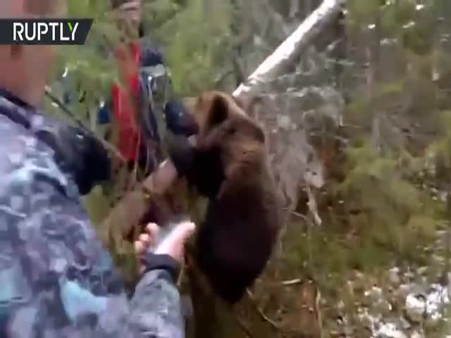 Охотники спасли медвежонка