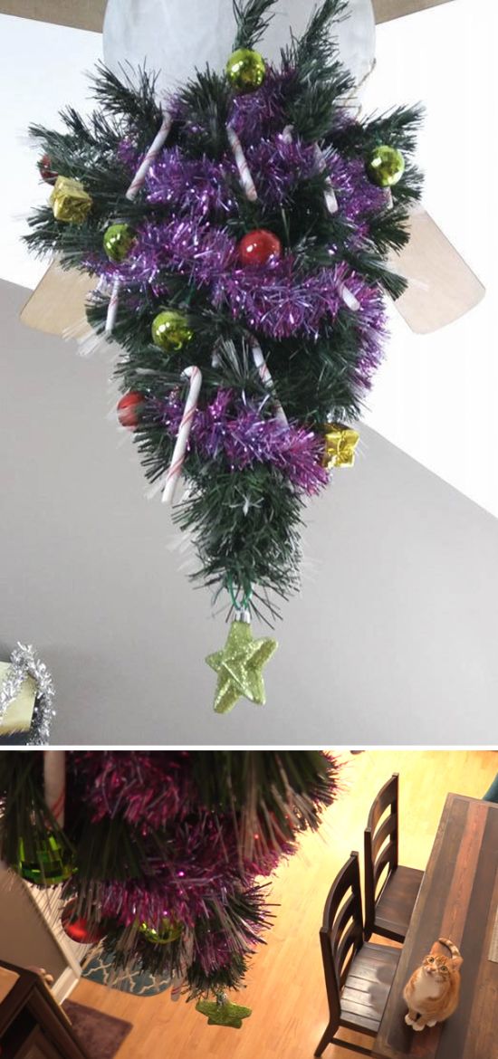 People Who Found A Way To Protect Their Christmas Trees From Animals (35 pics)