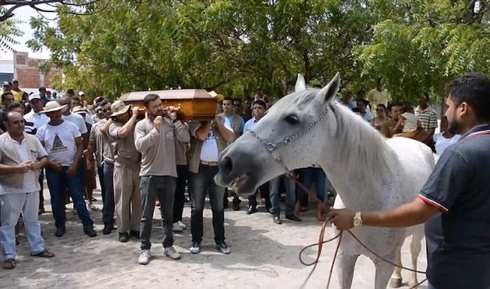 Конь на похоронах своего хозяина (5 фото)