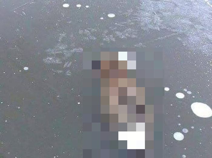 Лиса вмерзла в лед (2 фото)