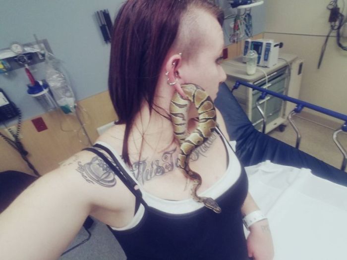Змея застряла в ухе своей хозяйки (2 фото)