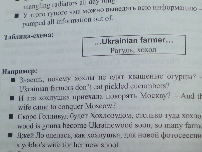 Украинских пользователей сети возмутило слово «хохол» в учебнике по английскому языку (фото)