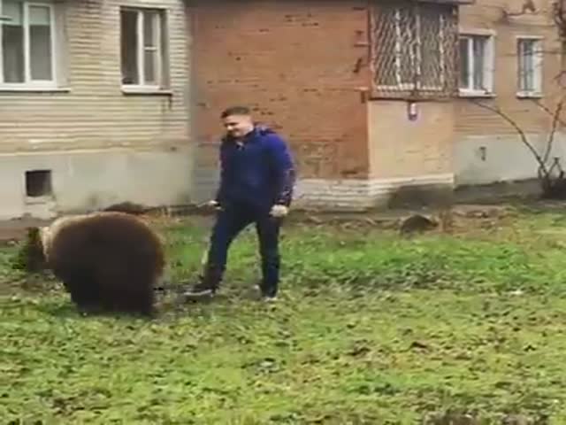 Житель Таганрога выгуливает медведя