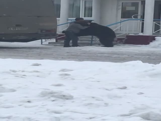 Парень обнимается с медведем