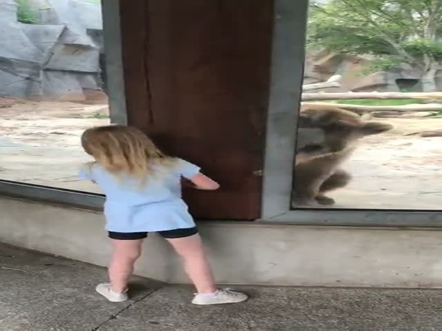 Девочка играет с медведем