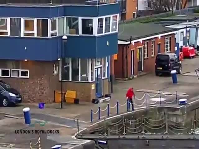 Мужчина спас кота, упавшего в Темзу